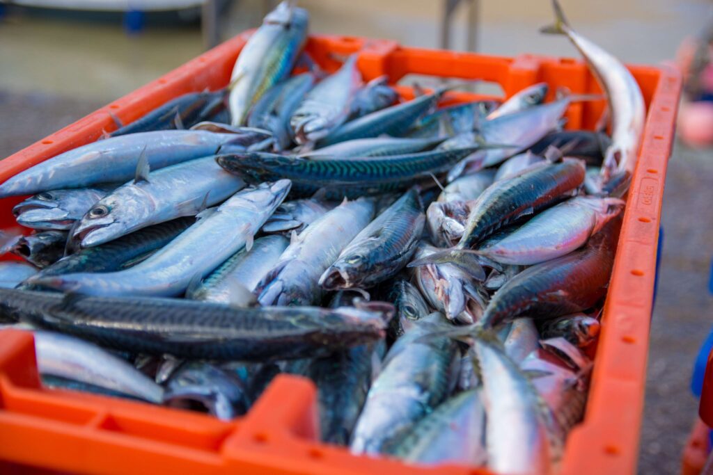 Seafood. Nigeria's coastal regions offer an abundance of seafood options that are not only delicious but also beneficial for your skin. Fish like mackerel and salmon are excellent sources of omega-3 fatty acids, which help to reduce inflammation and keep your skin supple. Incorporate grilled or steamed fish into your meals for a healthy dose of skin-loving nutrients.